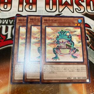 Ronintoadin Normal 3 pieces Special Price