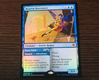 FOIL brazen borrower ELD 英 厚かましい借り手