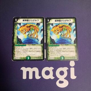 Terradragon Cusdalf R 33/110