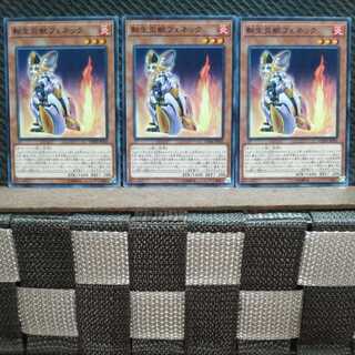 Popotan] Yu-Gi-Oh! 10747 Salamangreat Fennec 3 normal