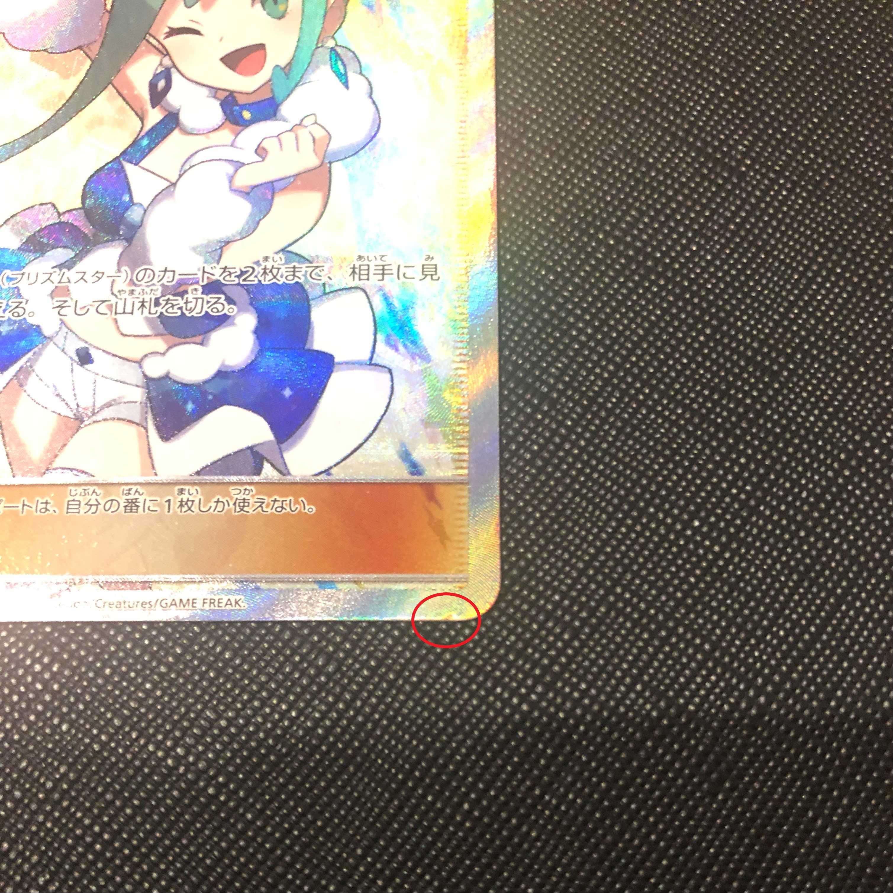 Lisia SR Erika's Hospitality SR