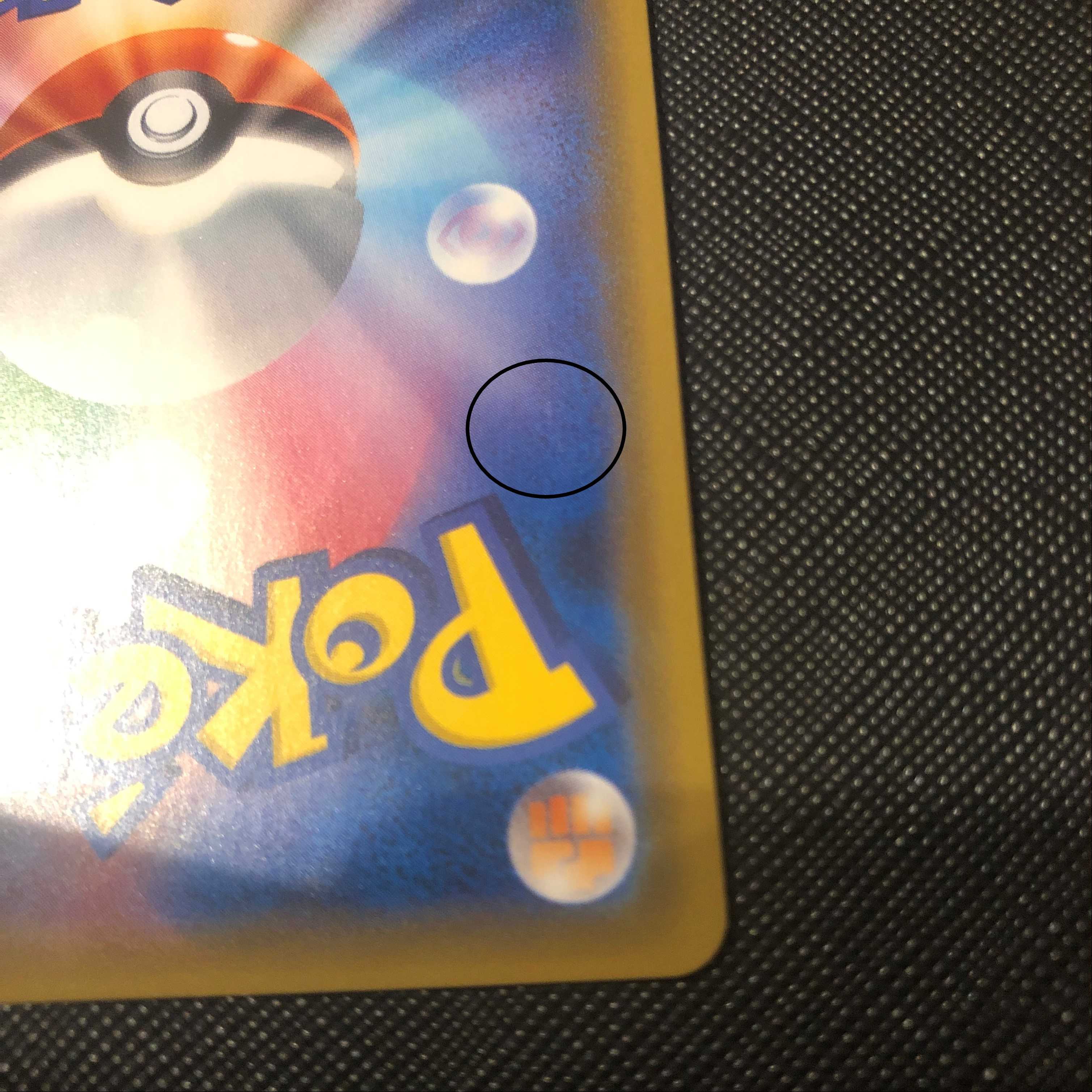 Lisia SR Erika's Hospitality SR