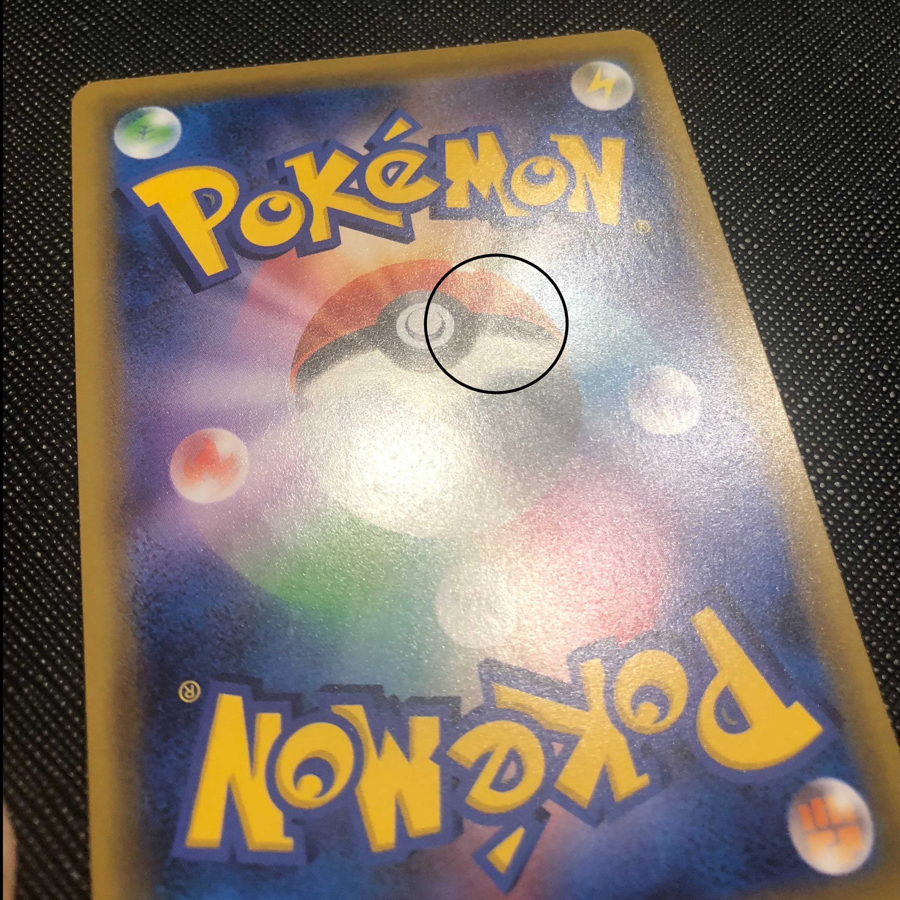 Lisia SR Erika's Hospitality SR