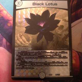 Black Lotus