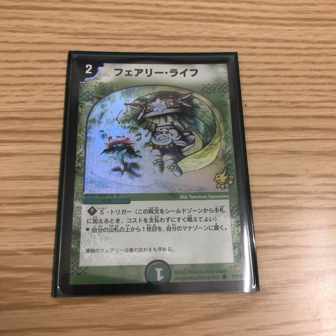 【即購入OK】フェアリー・ライフ　初期プロモ