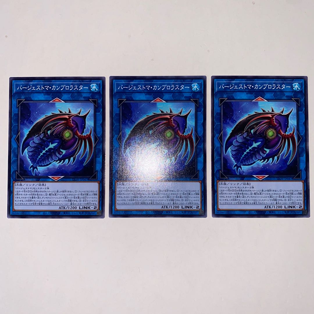 Paleozoic Cambroraster Normal JP047