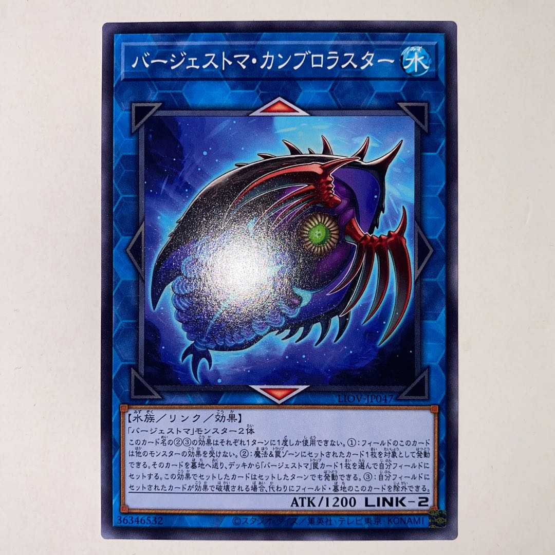 Paleozoic Cambroraster Normal JP047