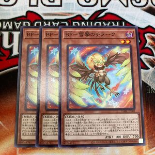 BF-Snow Shooting Chinook Normal 3 sheets