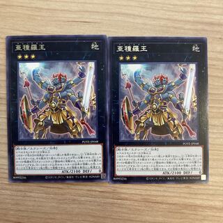 Subspecies Rao Rare JP048 2 pieces