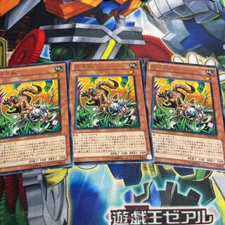 Snyffus Rare JP004 3 copies