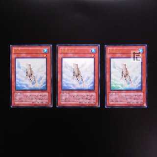 Treeborn Frog Set of 3 Ultra Rare/Control:MY0309