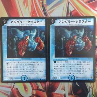 アングラー・クラスター 二枚セット