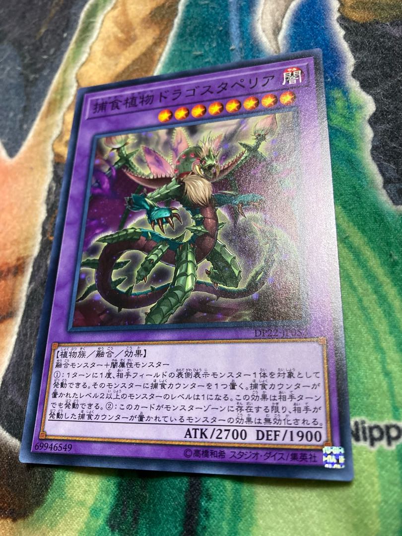 Predaplant Dragostapelia Normal JP053