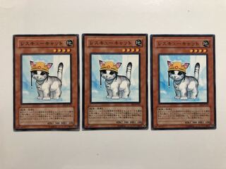 EE3-JP153 Rescue Cat 3 copies