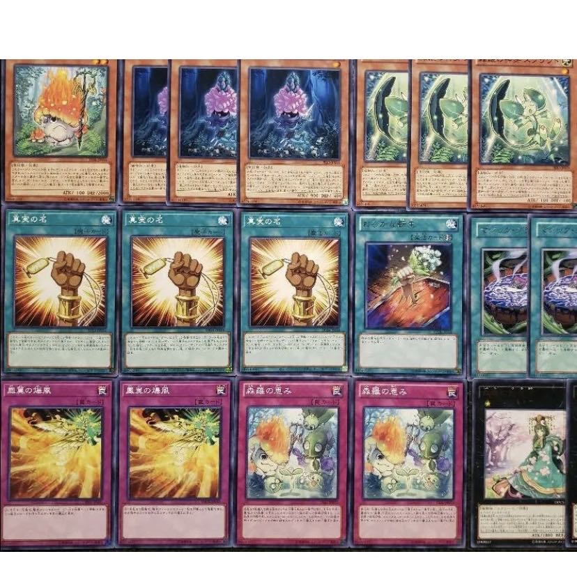 Wight] NO.408 Yu-Gi-Oh Constructed Forest Luo The True Name Deck!