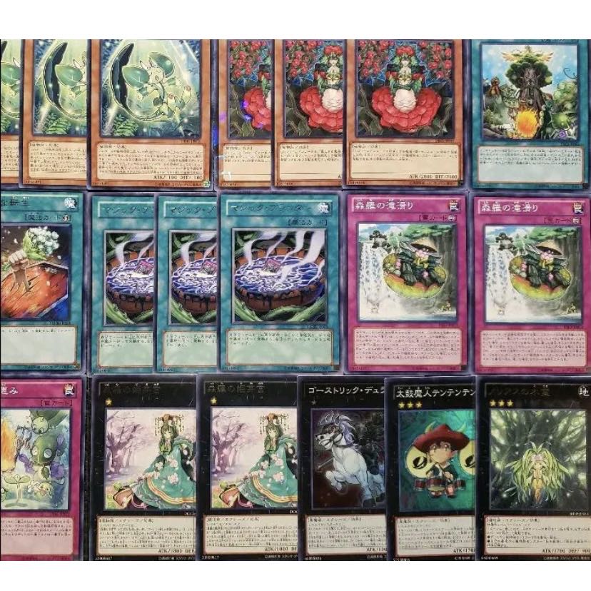 Wight] NO.408 Yu-Gi-Oh Constructed Forest Luo The True Name Deck!