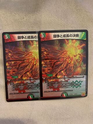 Fighting Conflict and Growth Decision VR 8/76