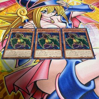 捕食植物プテロペンテス ノーマル JP003