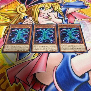 Predaplant Sarraceniant Normal JP001