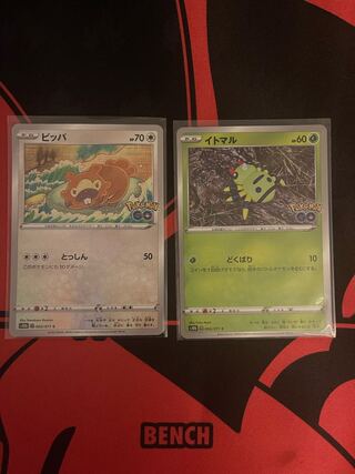 Ditto Bidoof Spinarak Pokémon go