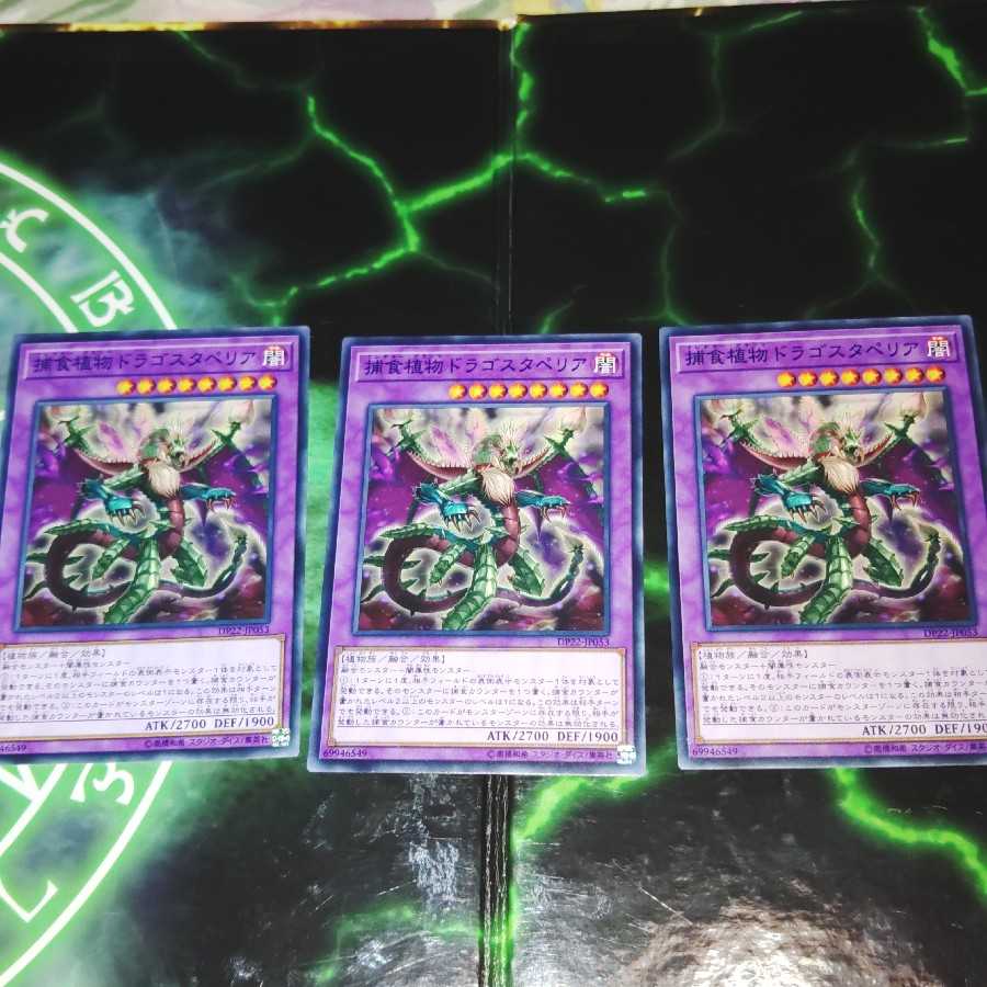 Predaplant Dragostapelia