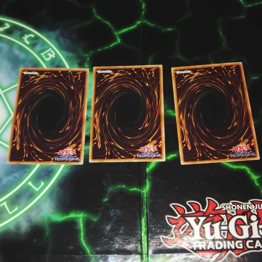 Predaplant Dragostapelia