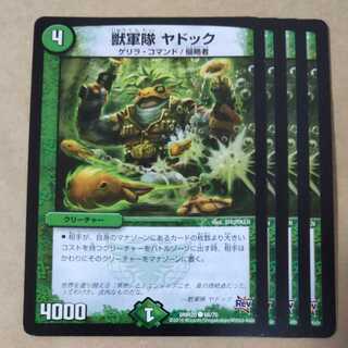 ヤドック　4枚 4枚