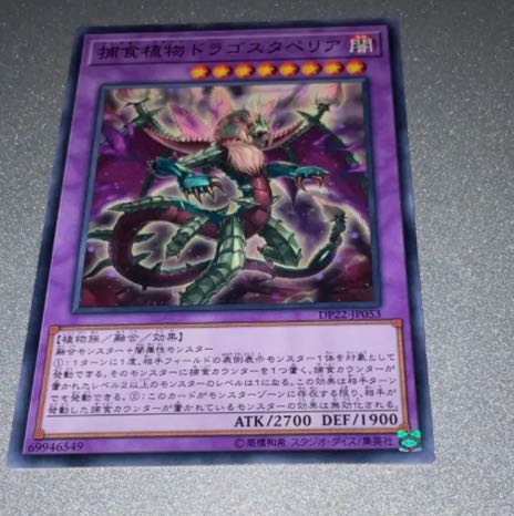 Predaplant Dragostapelia