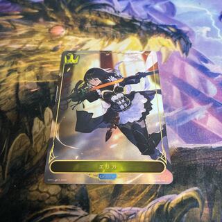 エリカ リーダー