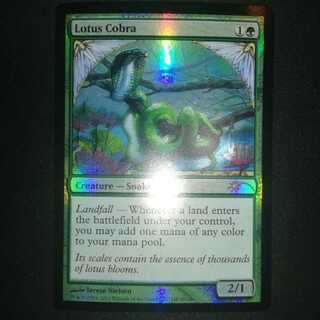 睡蓮のコブラ[EX]