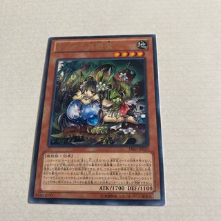 Traptrix Dionaea [Rare].