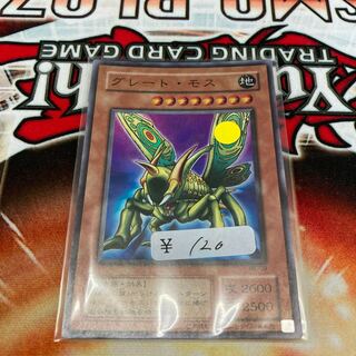 Great Moth Super Rare 1 copy at a special price 2 terms