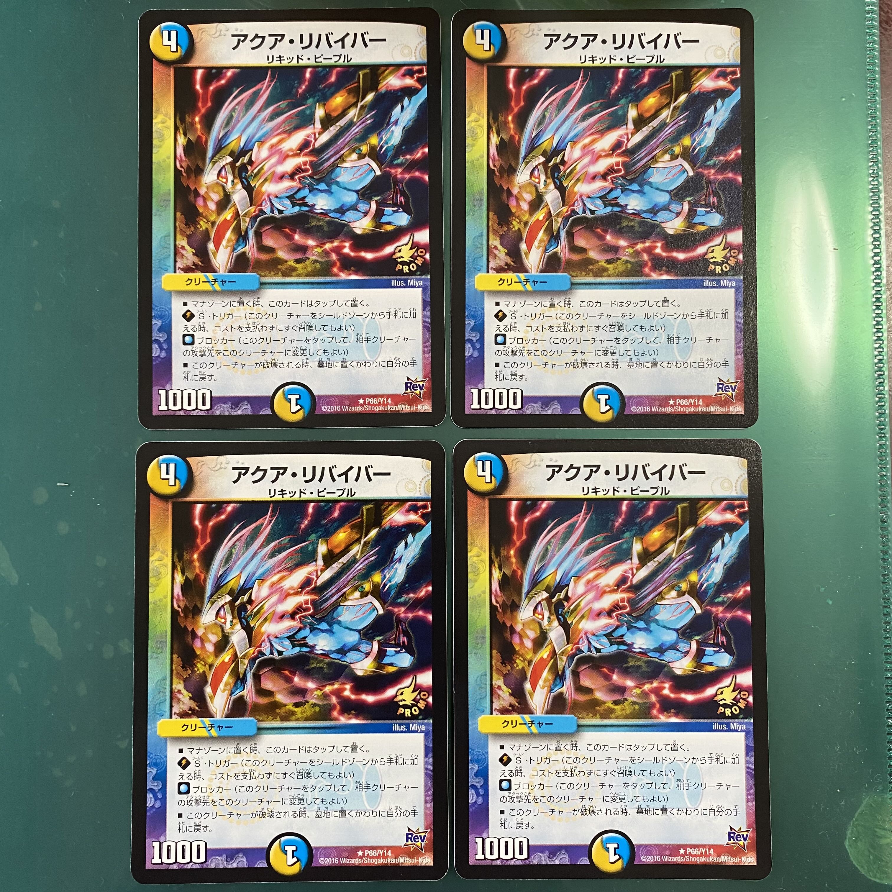 アクア・リバイバー R P66/Y14 【セット割引】