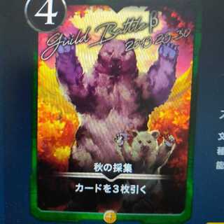 2枚組 秋の採集（バラ可）