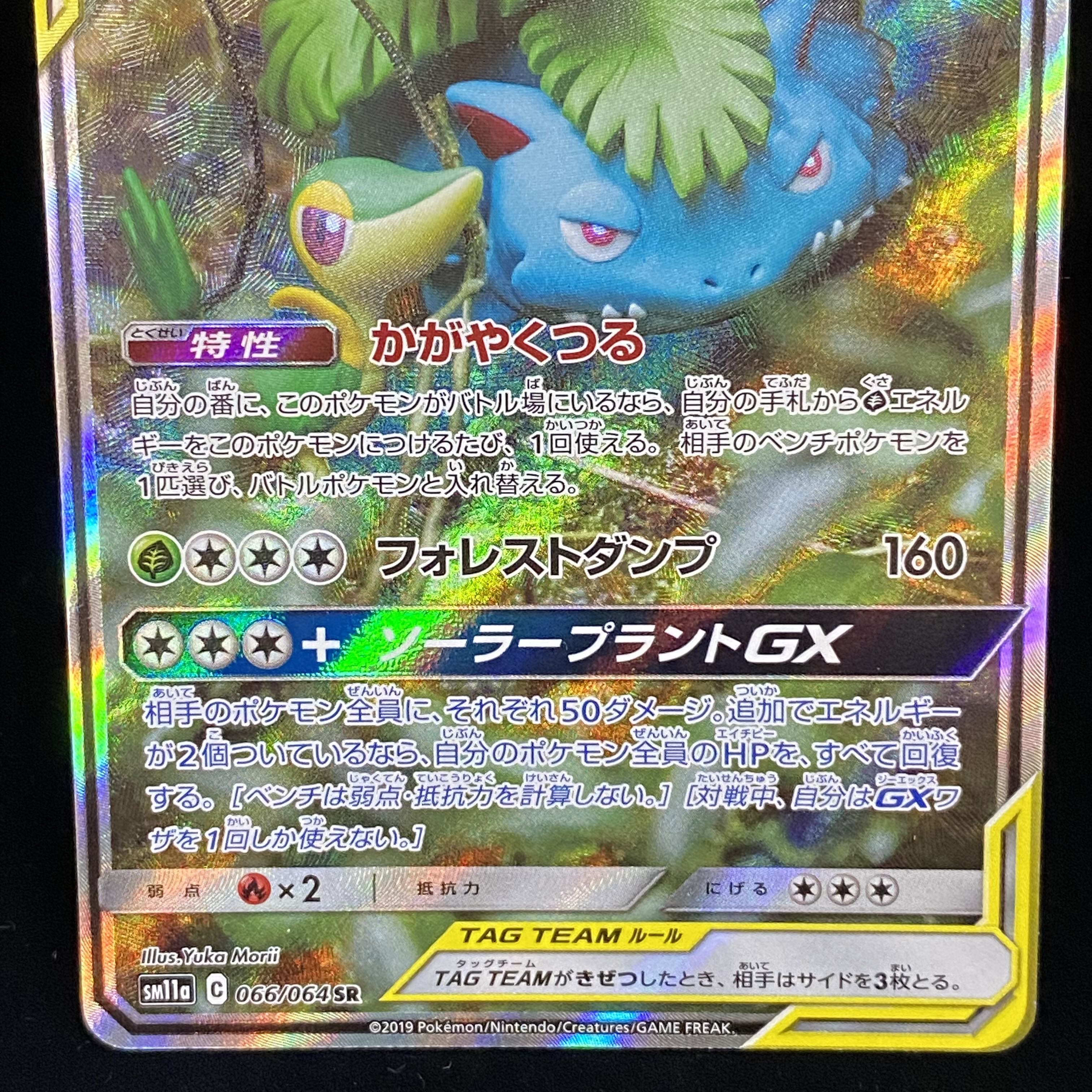 Venusaur & SnivyGX SR SA 066/064