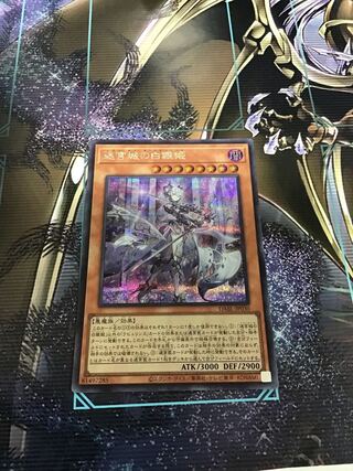 The White Silver Princess of the Labyrinth Castle