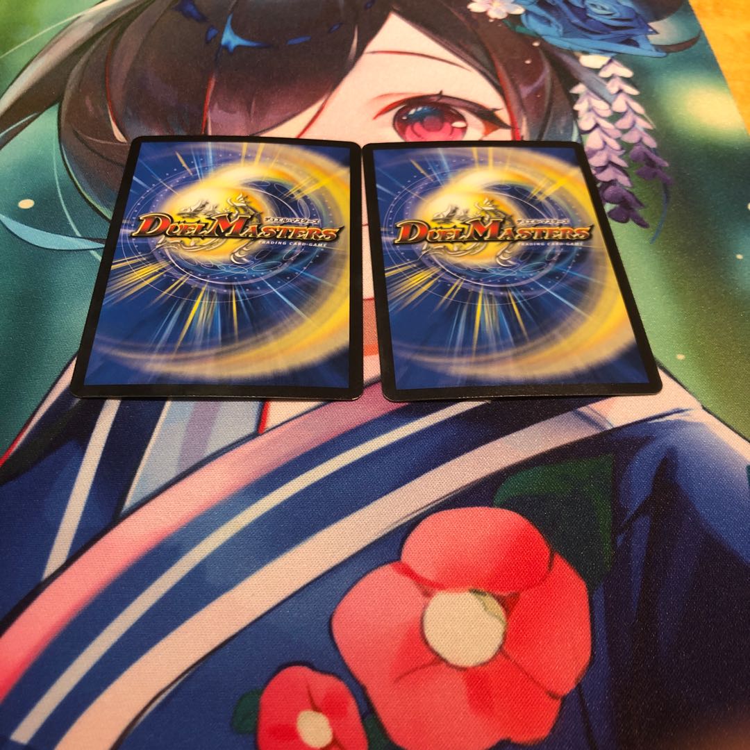 Ceremony of Ashes and Heavenly Gate VR 10/95