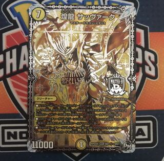 煌龍　サッヴァーク　シク1