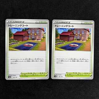 Training Court Set of 2