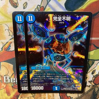 完全不明 SR S4/S9 2枚セット