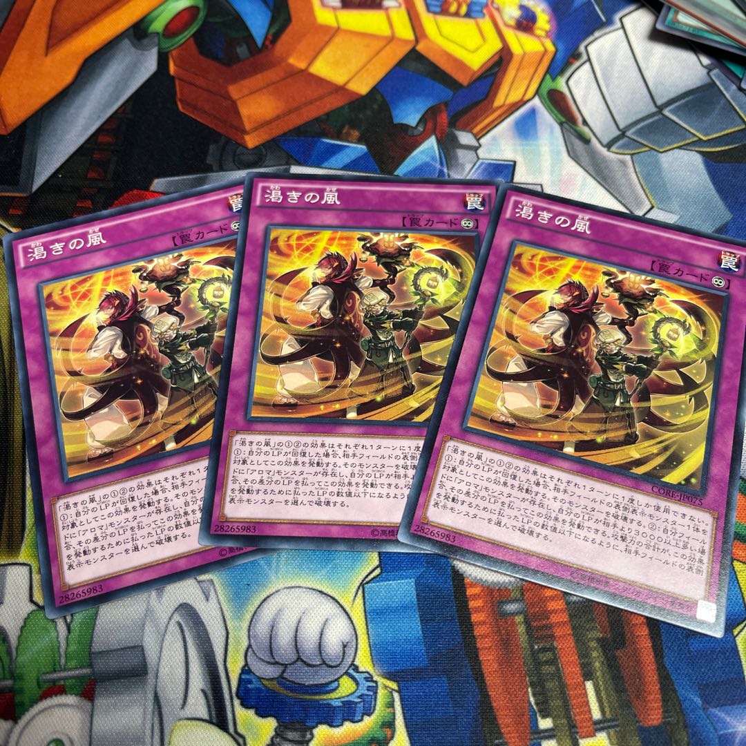 Dried Winds Normal JP075 3