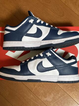 NIKE DUNK LOW "Valerian blue" 26.5cm