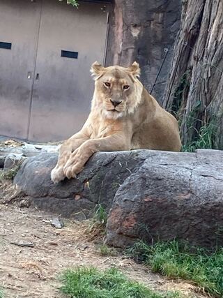 For the exclusive use of Mr. Ryu