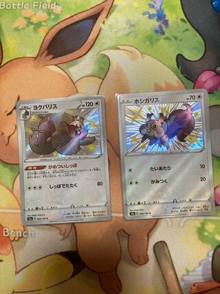 ホシガリス ヨクバリス 色違い