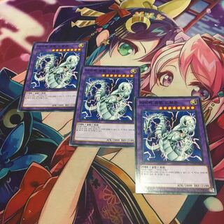 韓国　サイバーツインドラゴン