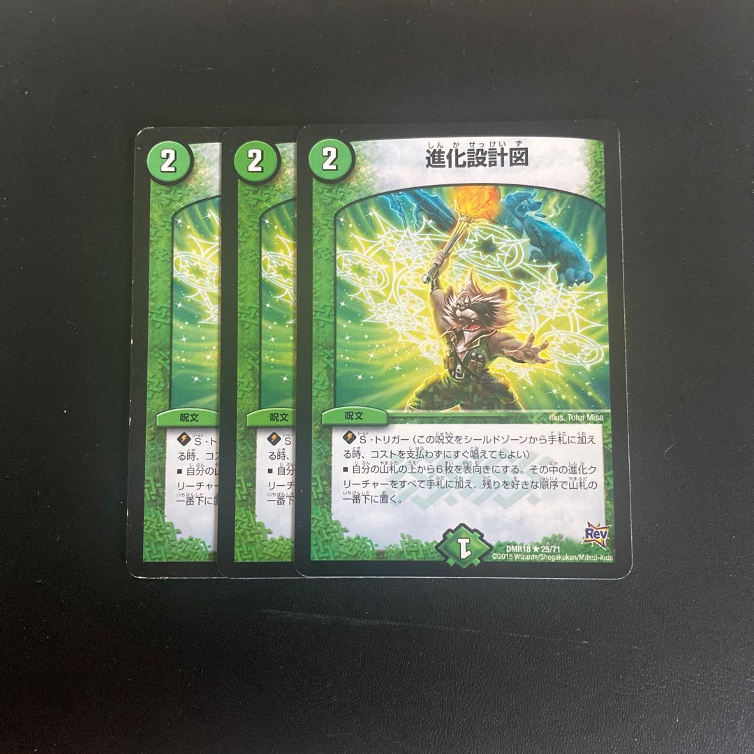 Evolutionary blueprint R 25/71