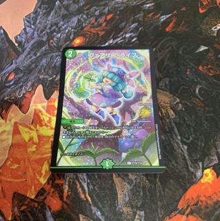 フェアリーライフ cs