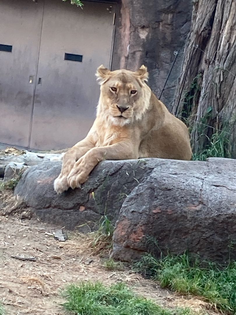 Dedicated to Mr. Phetan