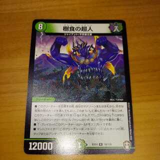 Psychic person of arboreal food R 19/110