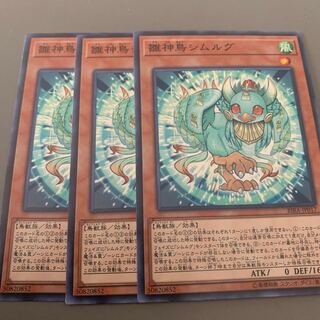 雛神鳥シムルグ　